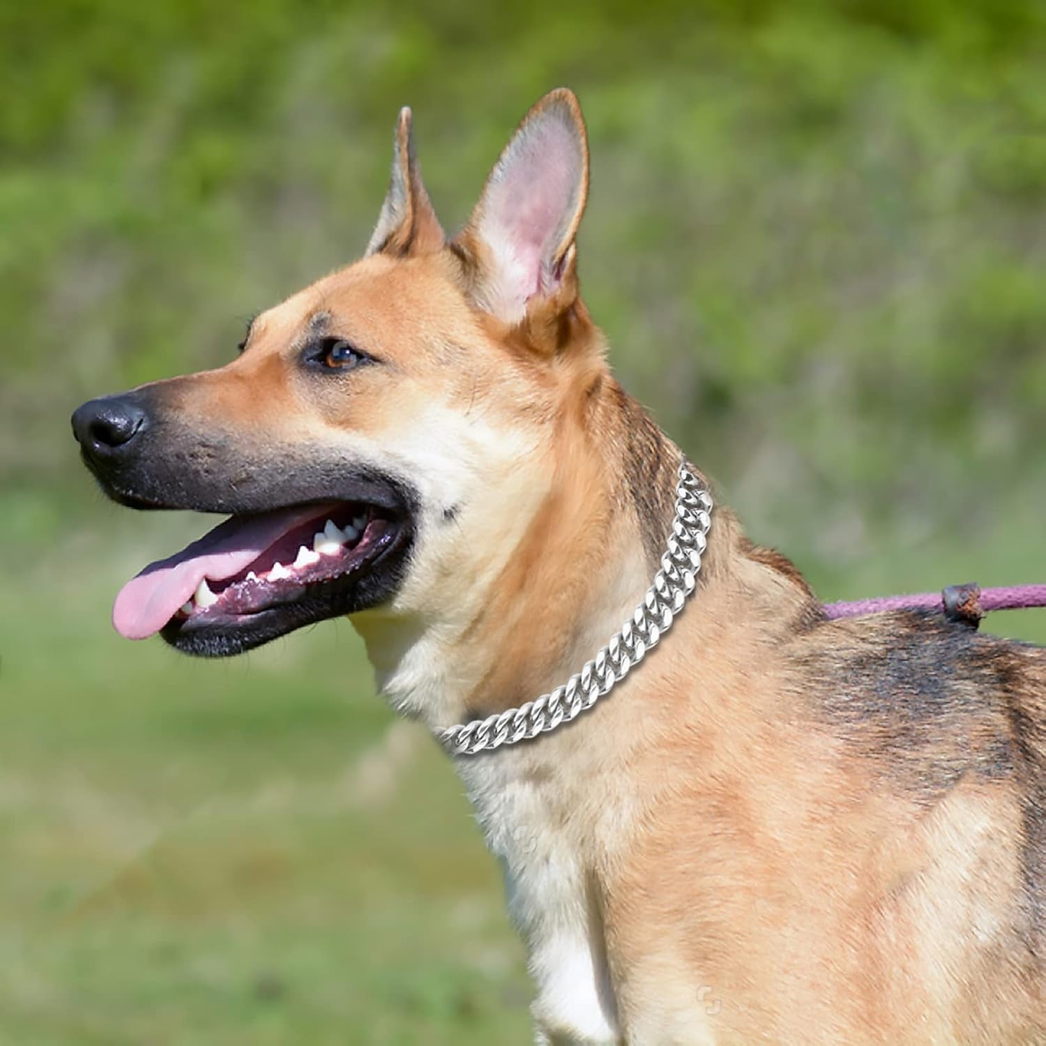 Dog Chain Collar,10 Inch Dog Collar with Secure Buckle Strong Heavy Duty Slip Collar for Small Dogs - Silver
