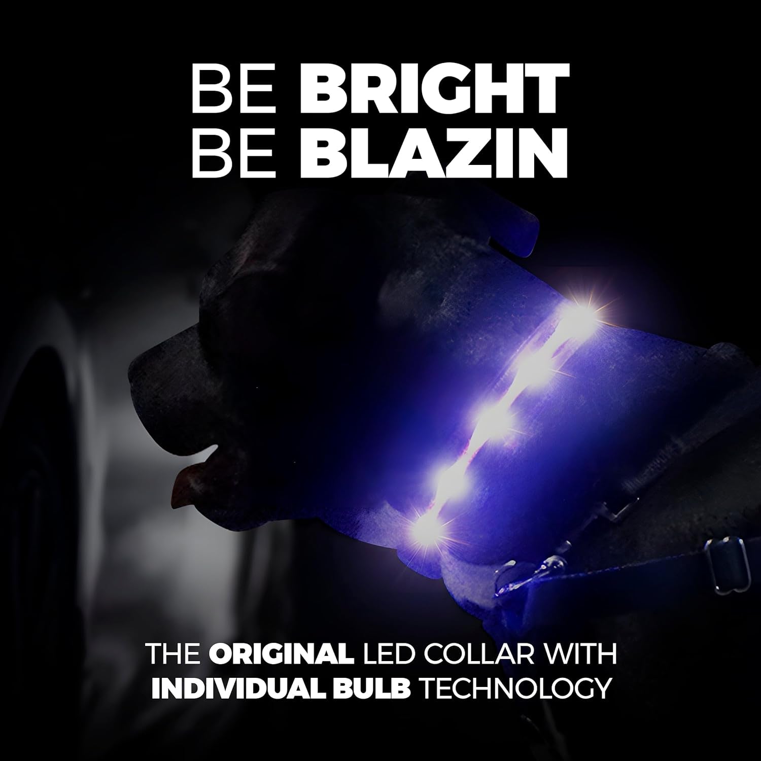 LED Dog Collars - the Original Light up Dog Collar - USB Rechargeable - Waterproof - 1,000 Feet of Visibility - Dog Collar Light for Small, Medium, Large Dogs - USA Brand