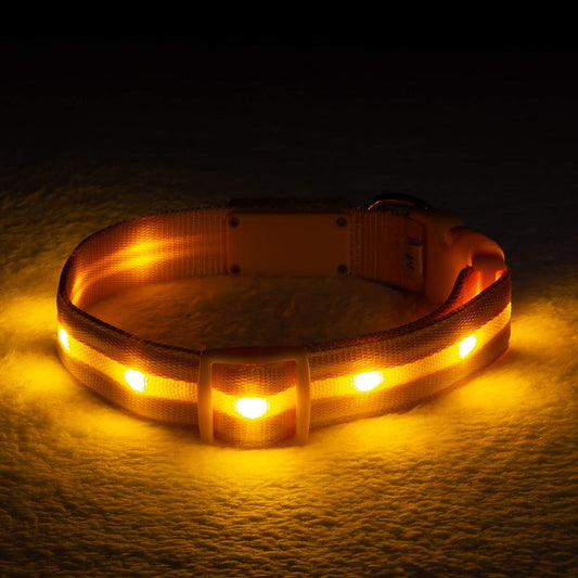 LED Dog Collars - the Original Light up Dog Collar - USB Rechargeable - Waterproof - 1,000 Feet of Visibility - Dog Collar Light for Small, Medium, Large Dogs - USA Brand